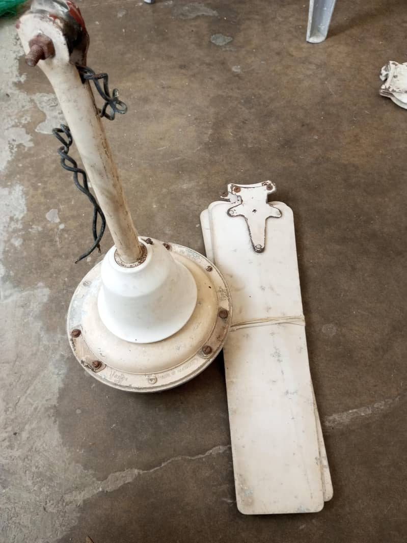 Ceiling Fans 1