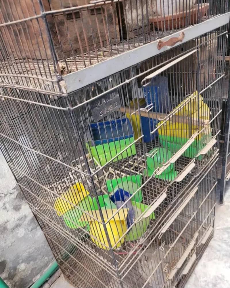 bird cages 2