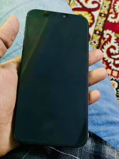 Apple iPhone 12 Pro Max