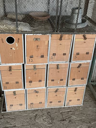 Breeding boxes