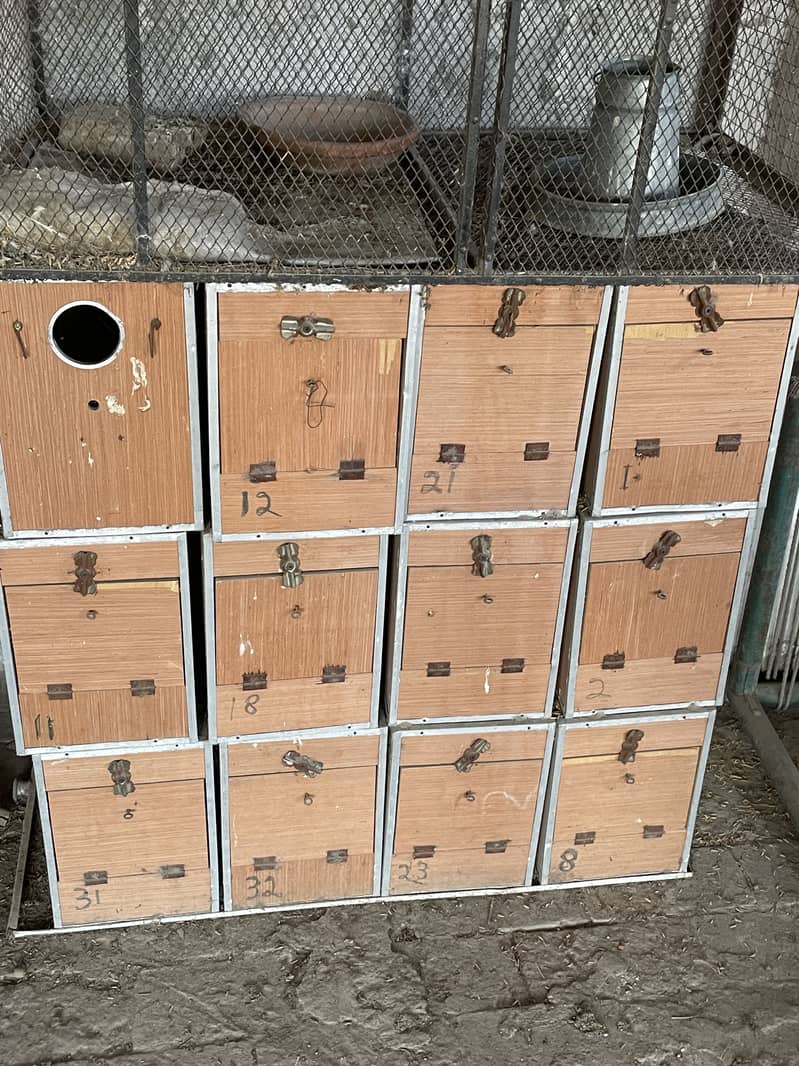 Breeding boxes 0