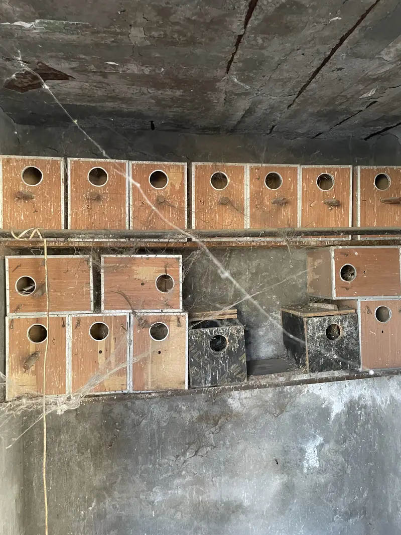 Breeding boxes — photo 2