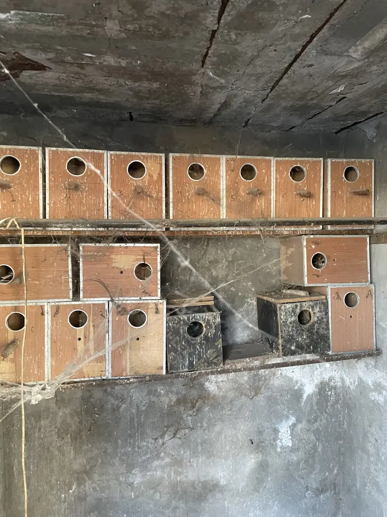 Breeding boxes — photo 3