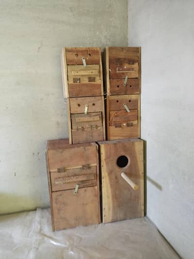 boxes