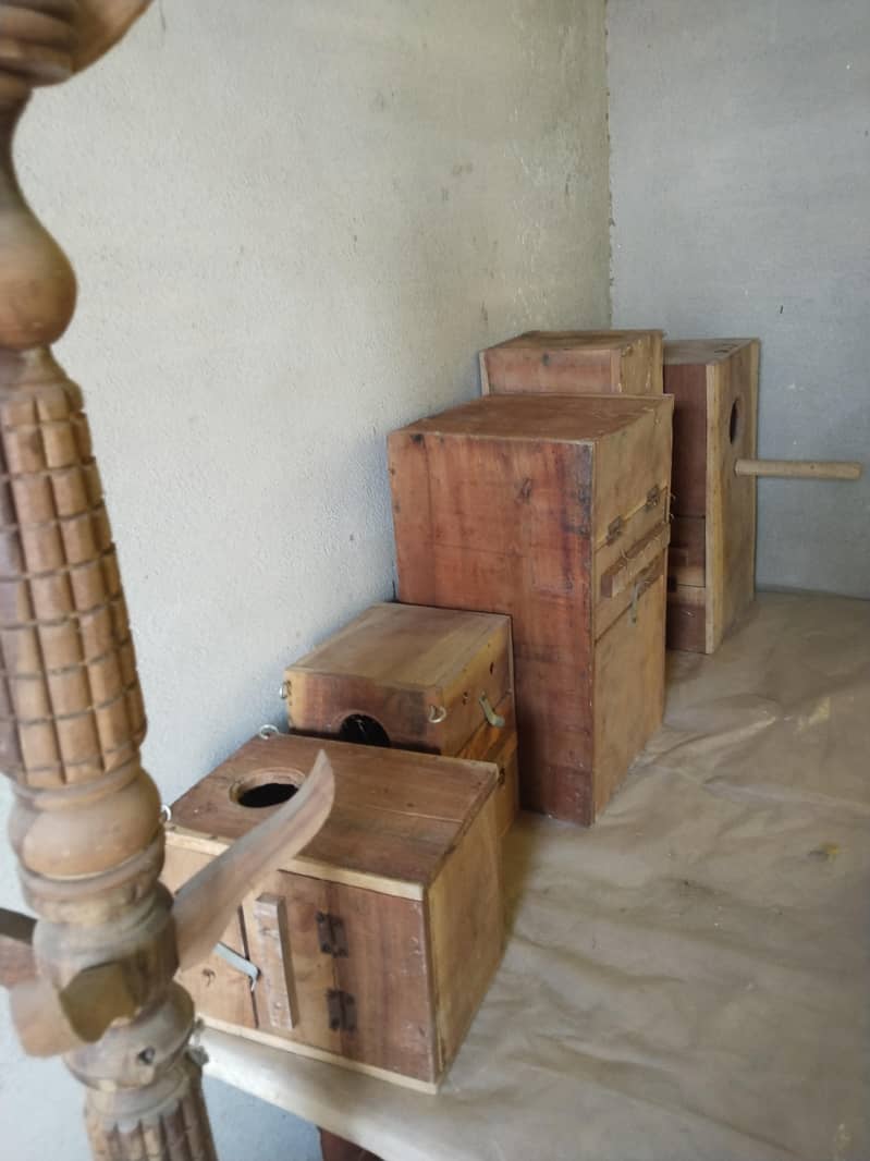 boxes 1