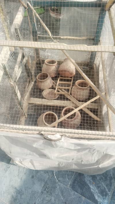 wooden large cage for patriots.