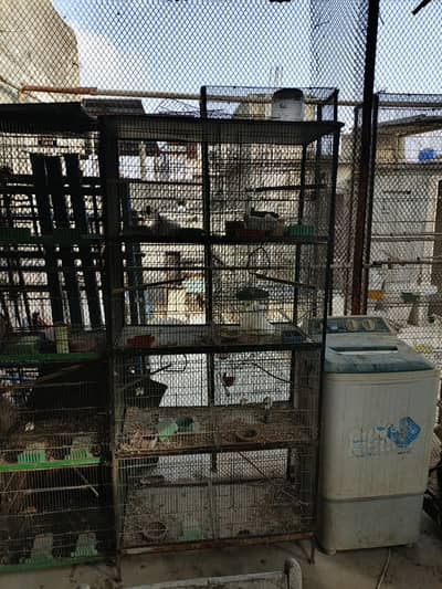 8 portion & 5 portion folding cages available