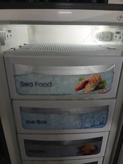Dawlance Vertical Freezer