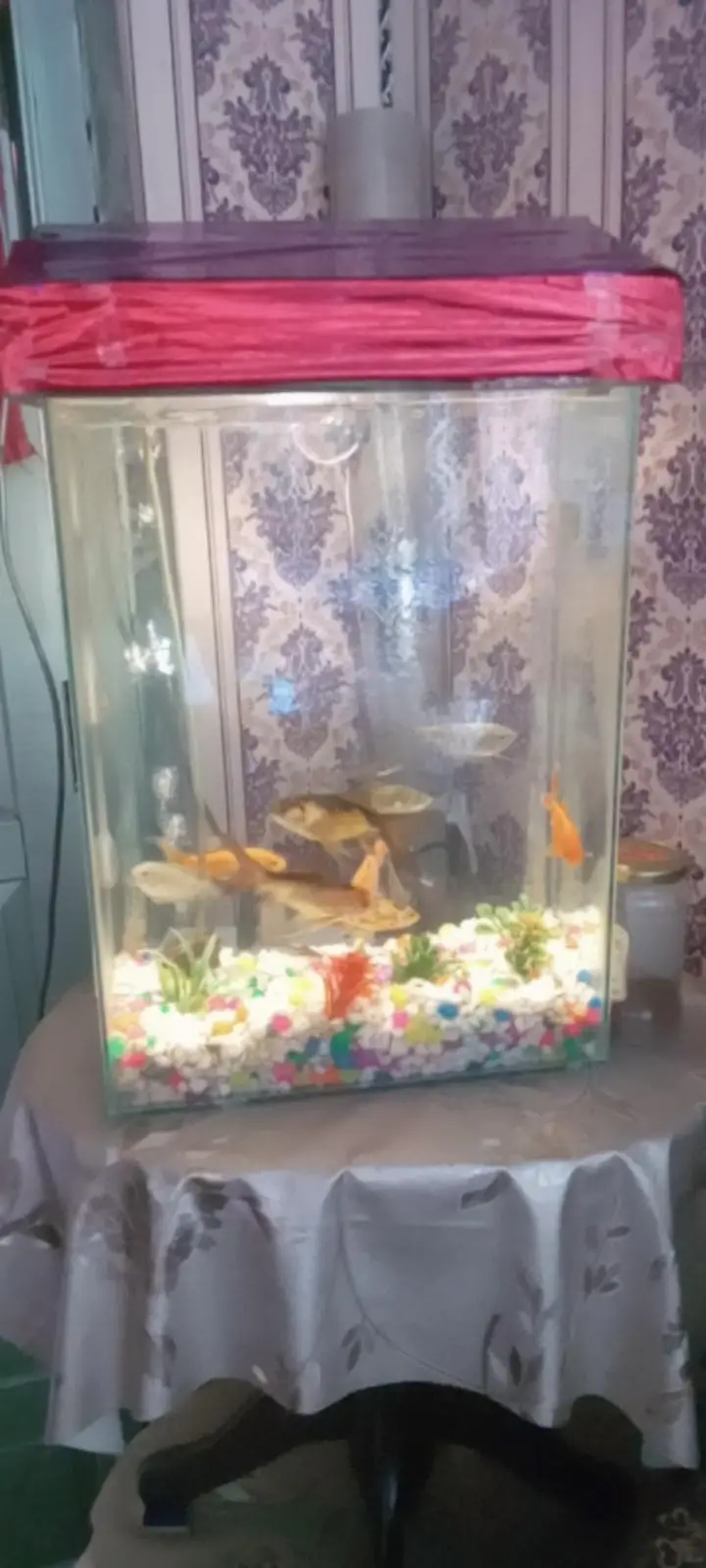 12 beautiful fishes — photo 4