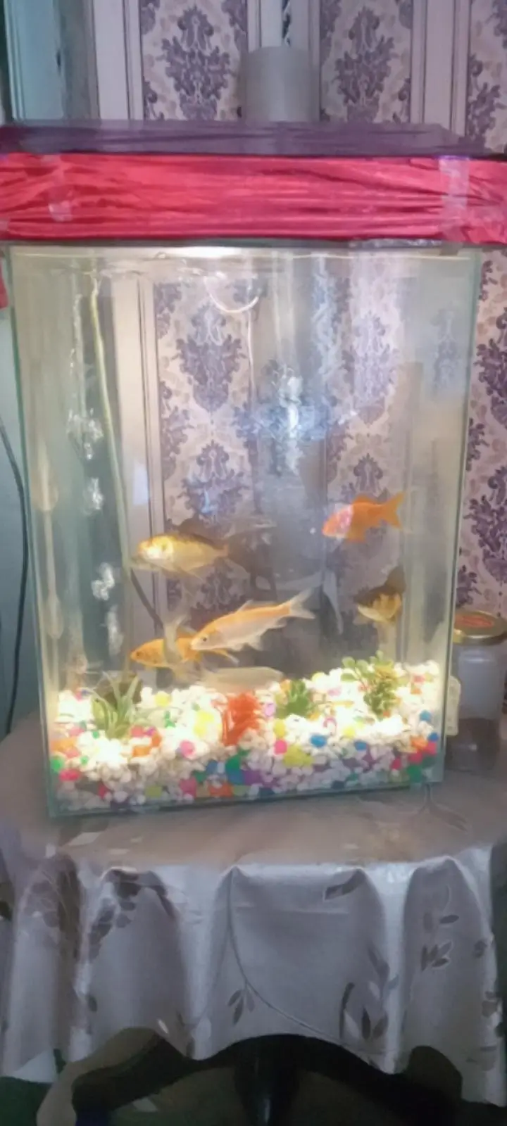 12 beautiful fishes — photo 5