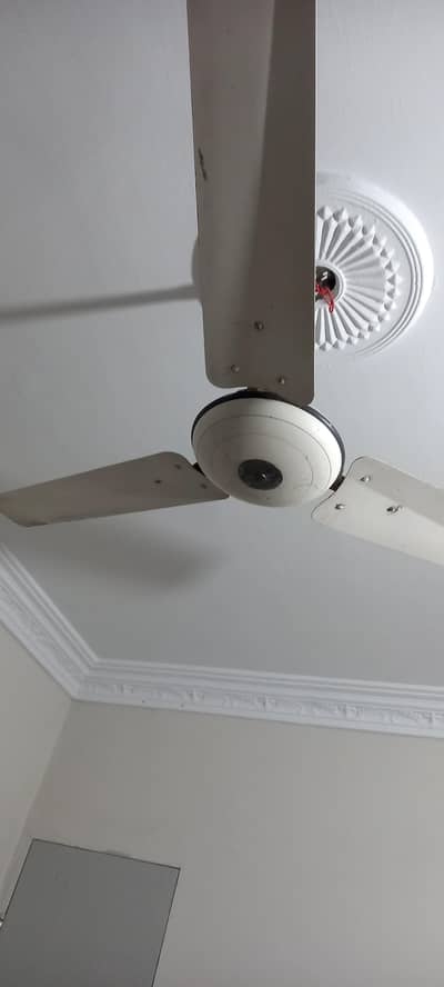 Royal fan used in good condition for sale