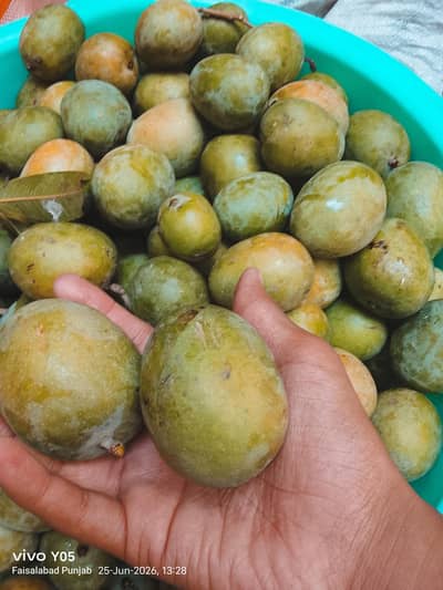 Achari Mango