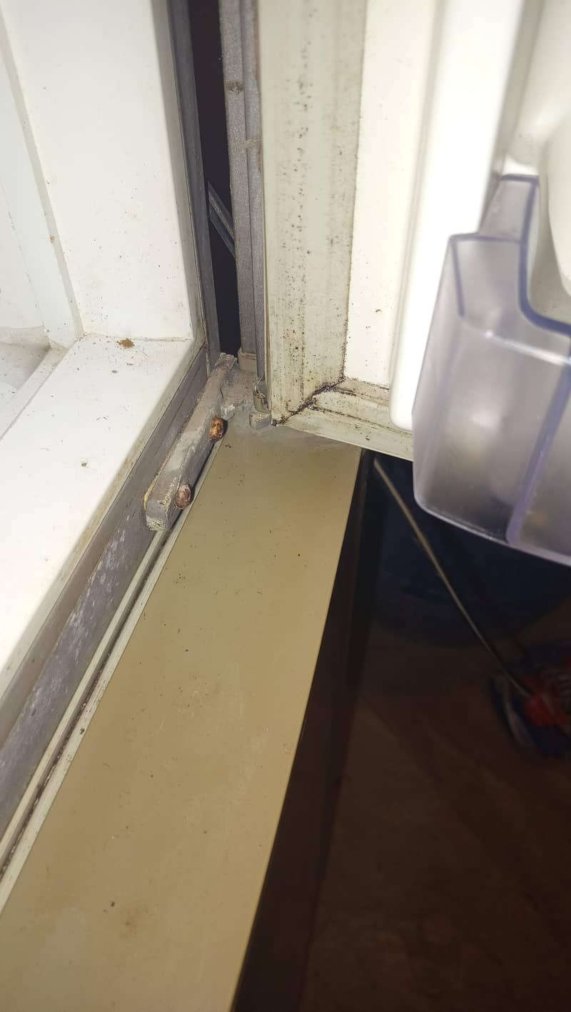 Double door fridge 1
