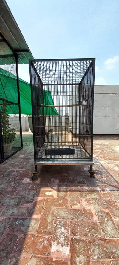Bird Cage For Sale