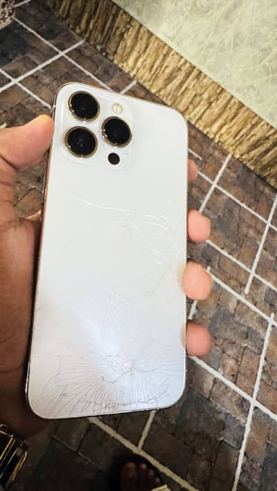 Apple iPhone 13 Pro