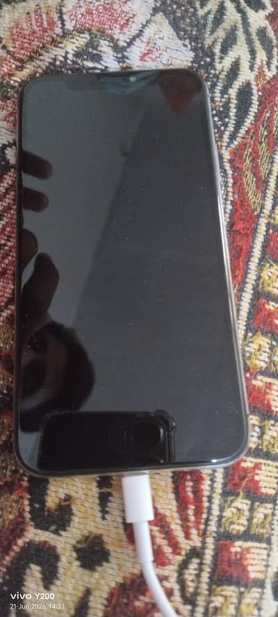 Apple iPhone X