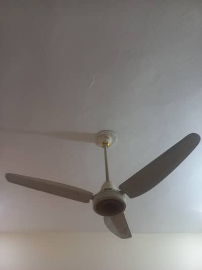 7 Celling Fans For sale