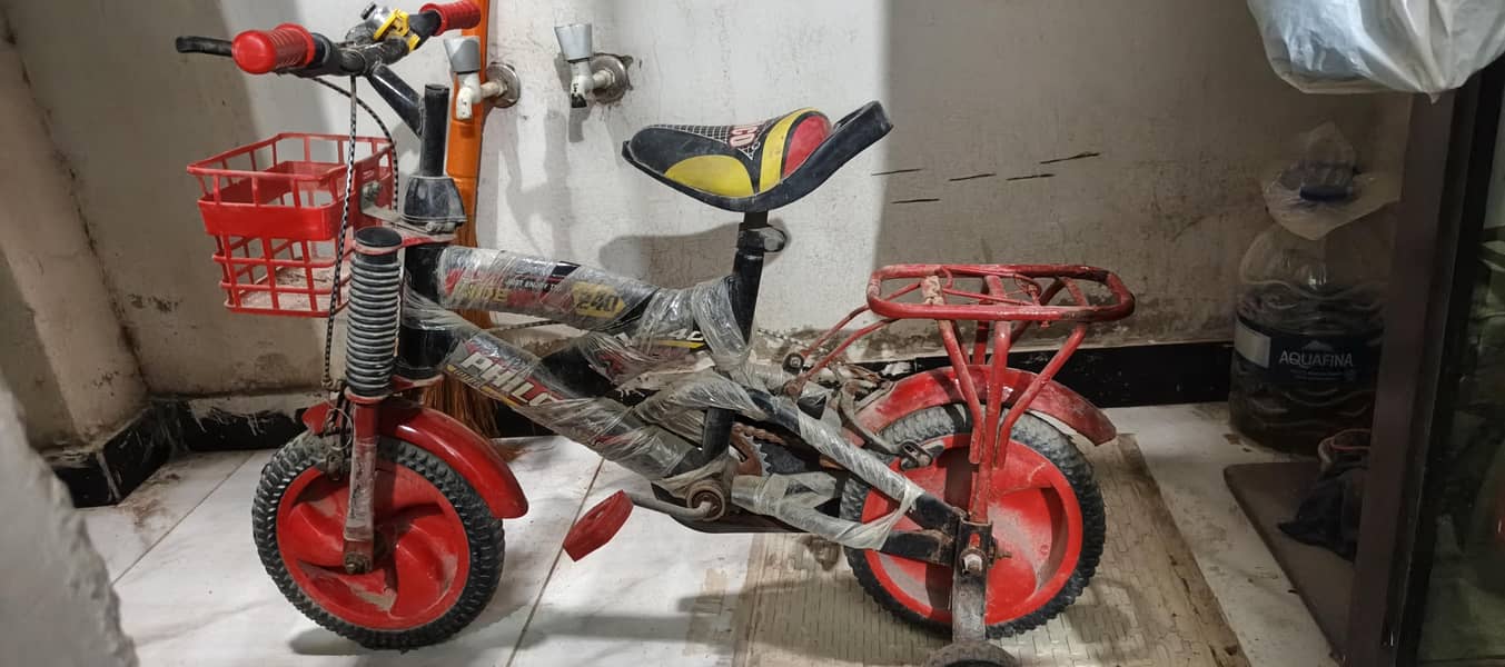 imported by cycle 0
