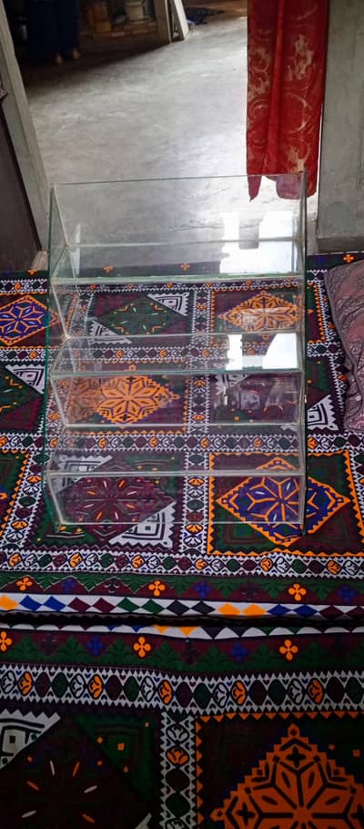 Step Glass Display Stand