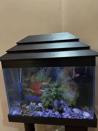 Fish Aquarium 2x1.5ft With Fishes and complete Set