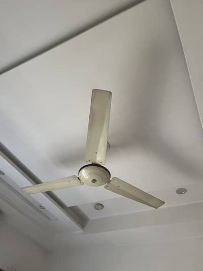 10/10. Ceiling Fan   17 pc