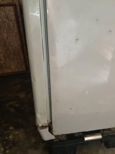 dawnlanc refrigerator condition 10/8