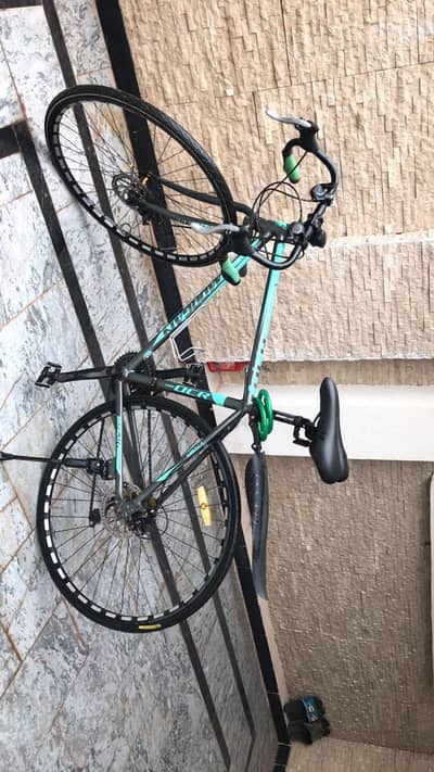 Morgan cycle