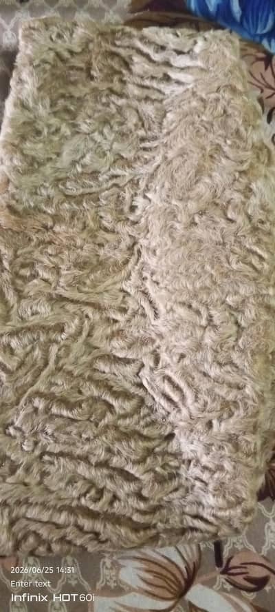oringnl lion skin cap