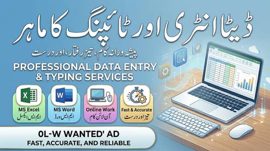 Experienced Data Entry Operator & Virtual Assistant.