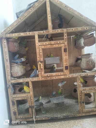 urgent for sale