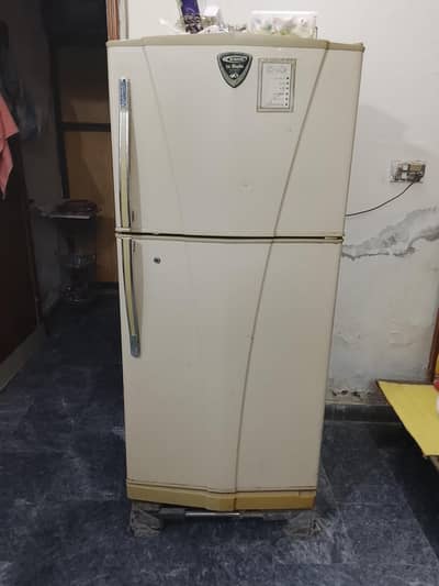 waves fridge