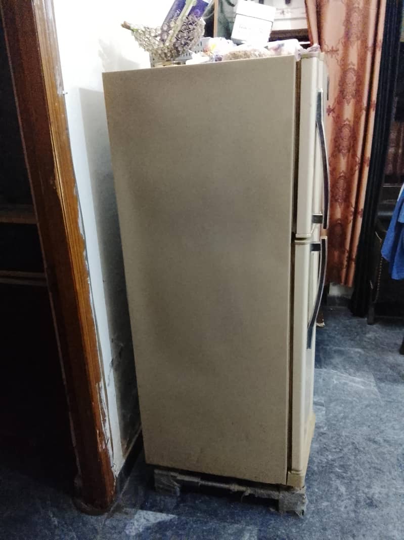 waves fridge 1