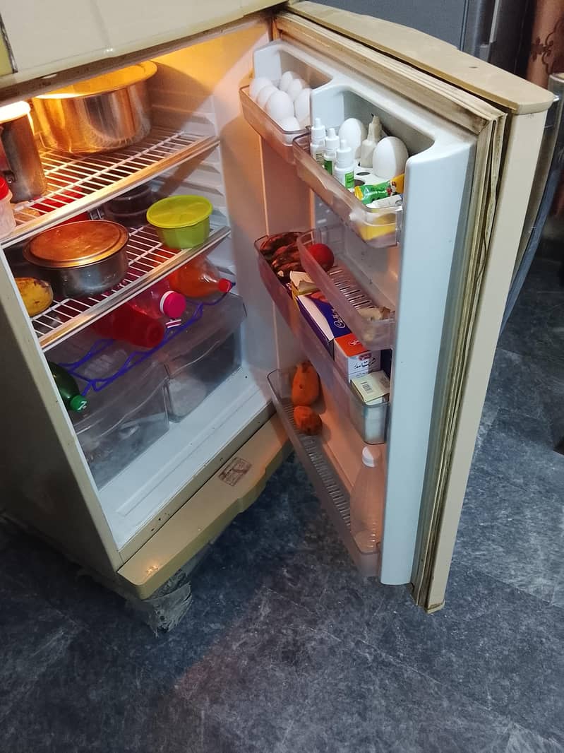 waves fridge 2