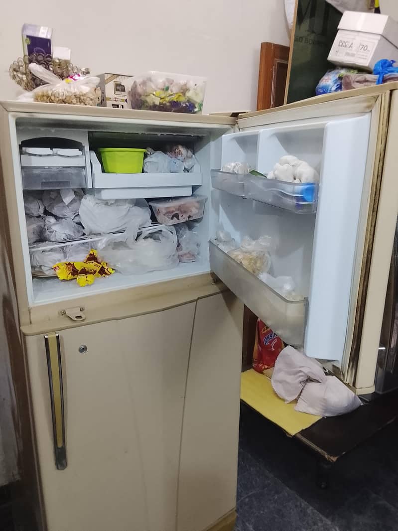 waves fridge 3