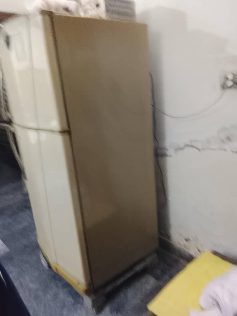 waves fridge 4