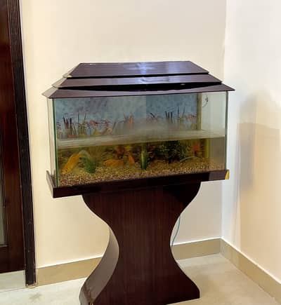 Aquarium