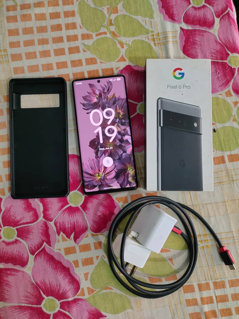 Google Pixel 6 Pro 2