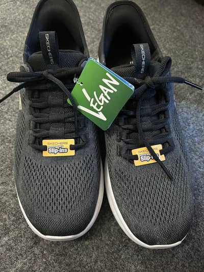 Sketchers