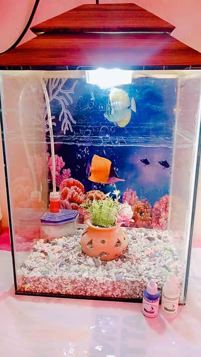 Aquarium Complete Set for Sale – Filter & LED Light Included 