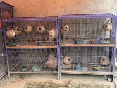 4 pieces cage for sale