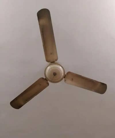 3 Ceiling Fans