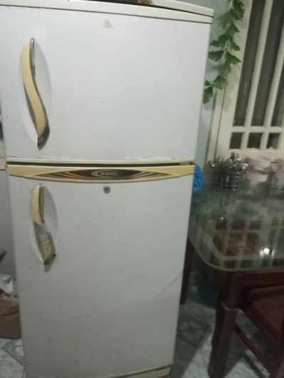 Waves Refrigerator