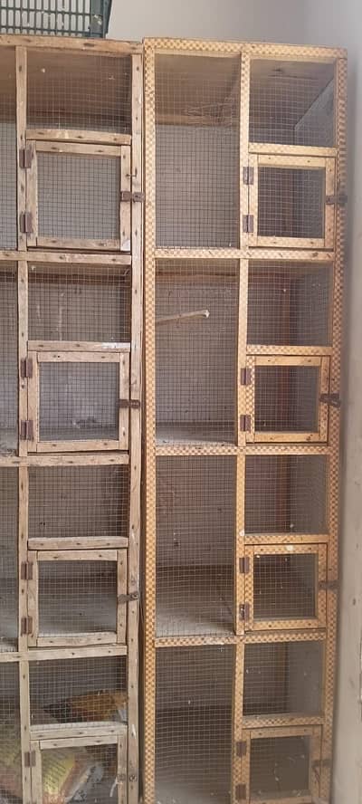 Cage 4 portion