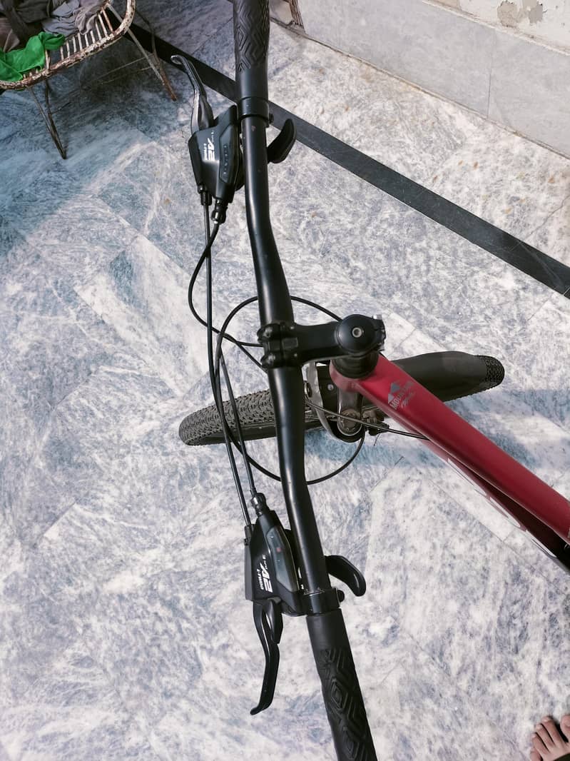 Mountain bycycle 2