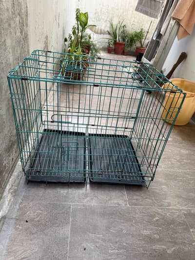 Cat , hen , cage