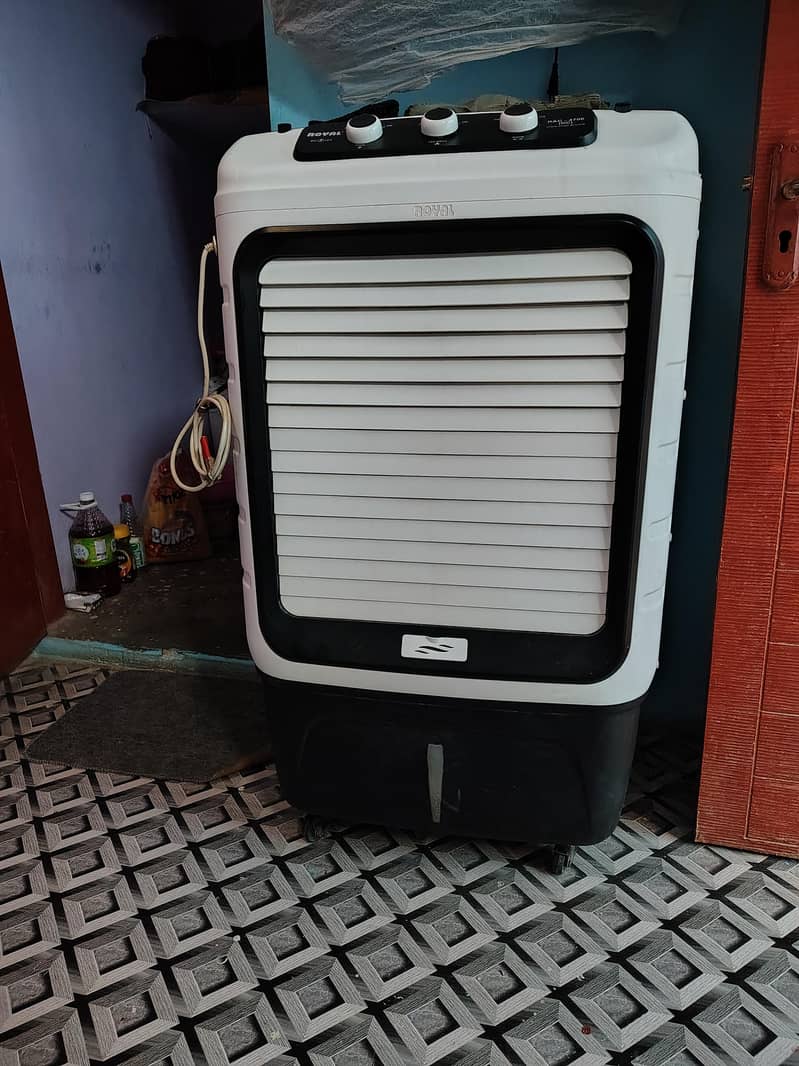 Royale DC Cooler 1