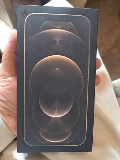 Apple iPhone 12 Pro Max