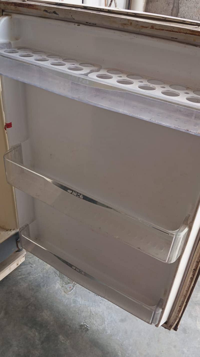 Waves Fridge 5