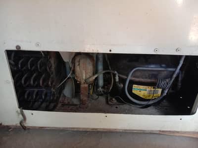 national deep freezer for sale