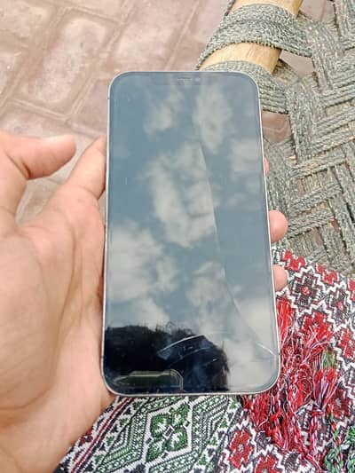 Apple iPhone 12 Pro Max